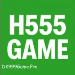 H555 Game
