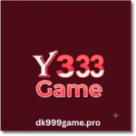 Y333 Game